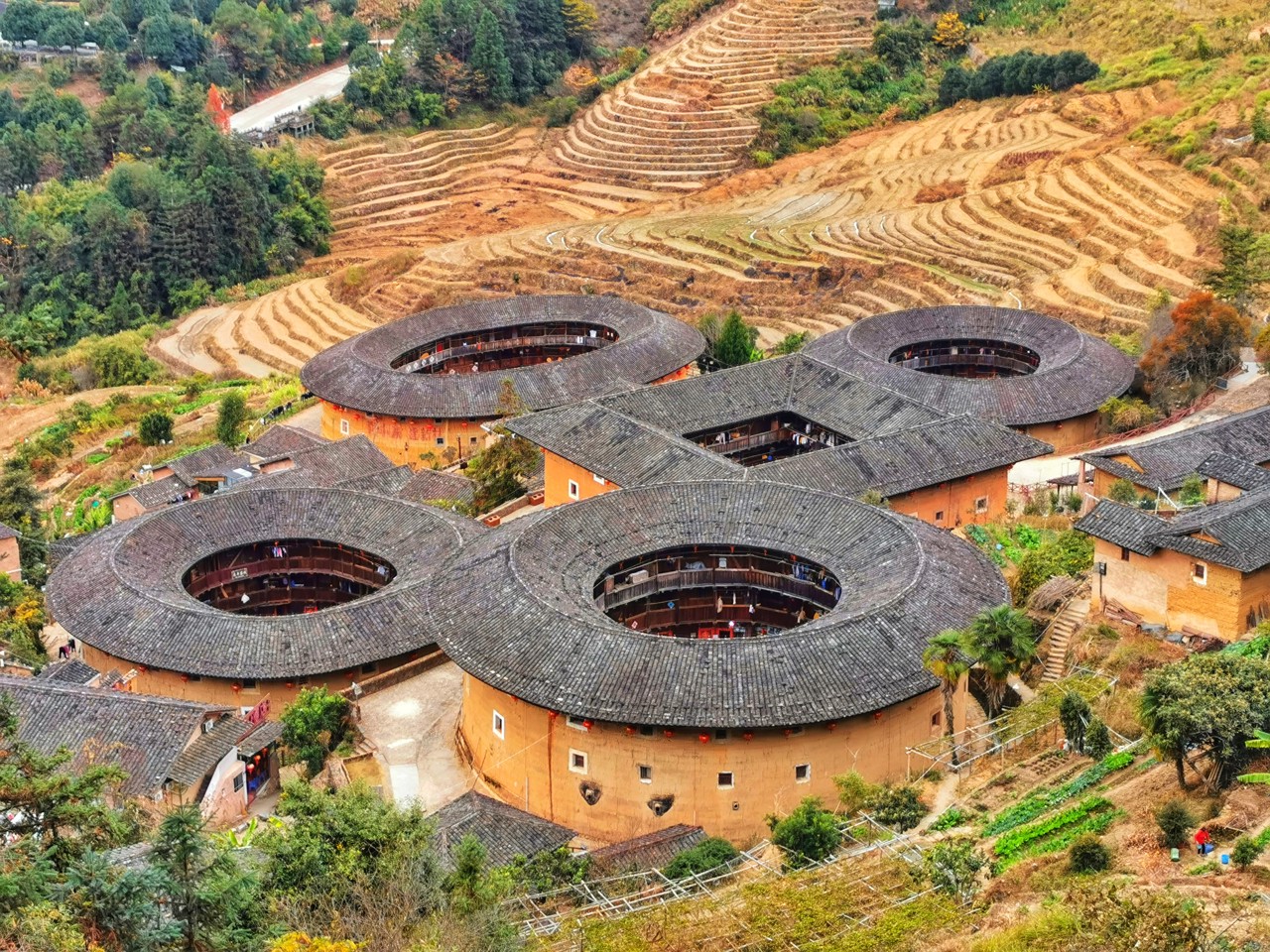 20 Días Vive Experiencias Auténticas y Únicas